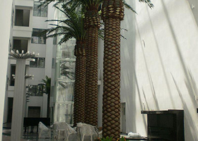 仿真海枣树 室内外装饰的绿色智慧之选